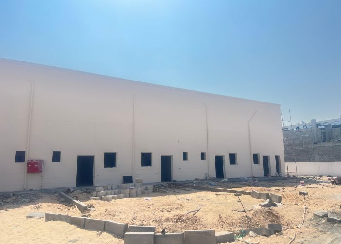 Untitled design (79)